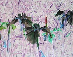 liron, liron art, liron sissman, Despite, flower painting, art