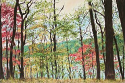 liron, liron art, liron Sissman, Here & Beyond II, metaphorical landscape, landscape painting