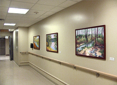 Hospital art, healing art, healthcare art, nature art, AtlantiCare art, Liron Sissman