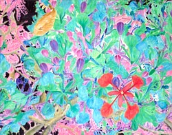 liron, liron art, liron sissman, Topsy Turvy III, flower painting, art
