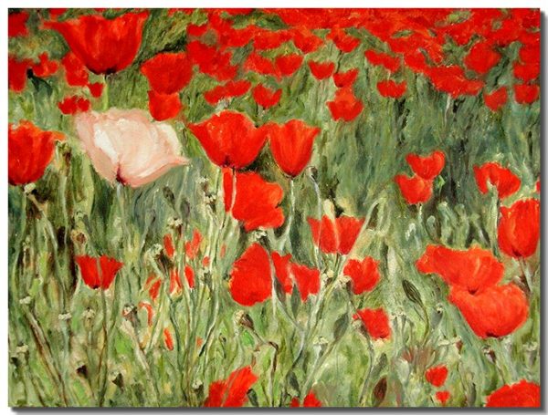 Dare be You – Red Poppies