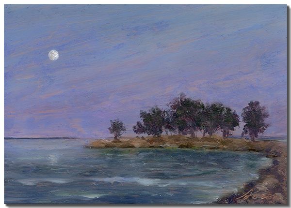 Cove Island at Dusk II